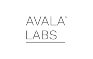 Avala Labs