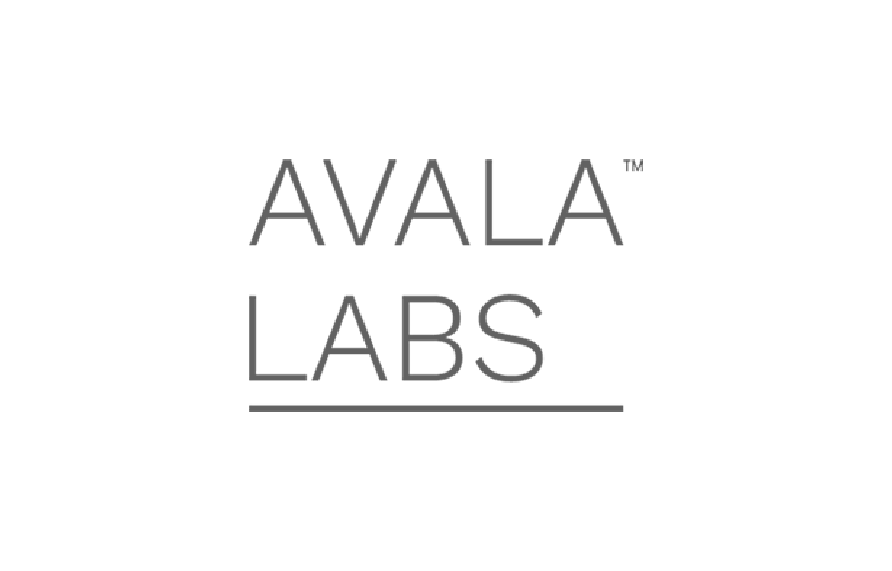 Avala Labs